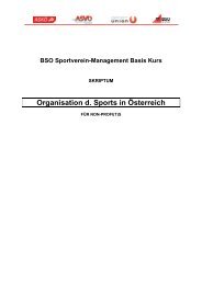 Skriptum Organisation - BSO