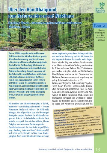 Über den Handthalgrund zum Naturwaldreservat Waldhaus - Bund ...