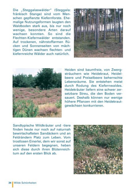 Lebensraum Sand - Bund Naturschutz in Bayern eV