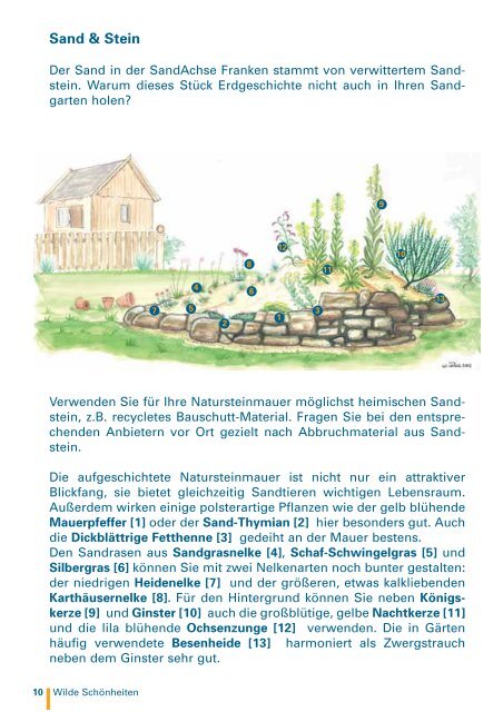 Lebensraum Sand - Bund Naturschutz in Bayern eV