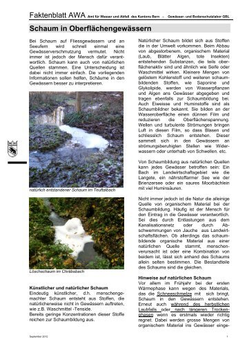 AWA-Faktenblatt "Schaum in Oberflächengewässern"