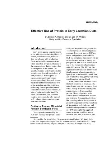 Effective Use of Protein in Early Lactation Diets