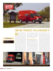 Big rED Nugget