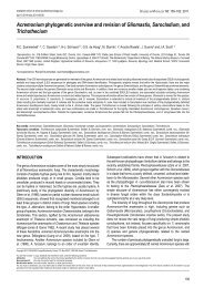 Acremonium phylogenetic overview and revision of ... - CBS - KNAW