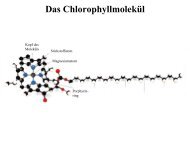 Fluorit, Flussspat, CaF2