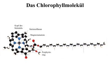 Fluorit, Flussspat, CaF2