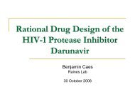 Rational Drug Design of the HIV-1 Protease Inhibitor Darunavir