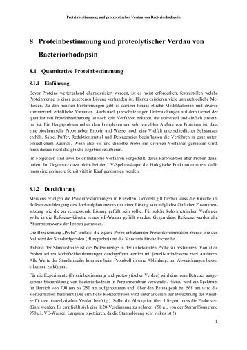 8 Proteinbestimmung und proteolytischer Verdau von Bacteriorhodopsin