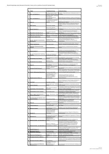 LAP: Übersicht Projekte 2011 - Chemnitz