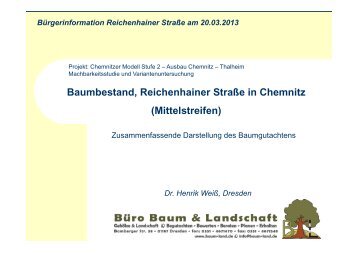 Baumgutachten (PDF) - Chemnitz