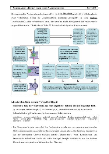 Die vereinfachte Photosynthesegleichung 6 CO2 + 6 ... - Chungo.de