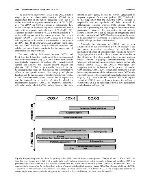 Cyclooxygenase-2 Biology