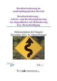 Download Broschüre Berufsorientierung – Arbeits - cisOnline