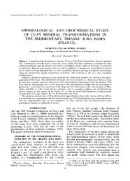 mineralogical and geochemical study of clay mineral ...