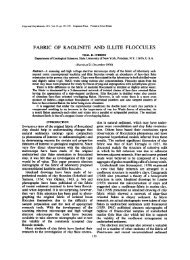 fabric of kaolinite and illite floccules - Clay Minerals Society