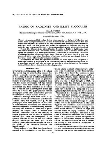 fabric of kaolinite and illite floccules - Clay Minerals Society