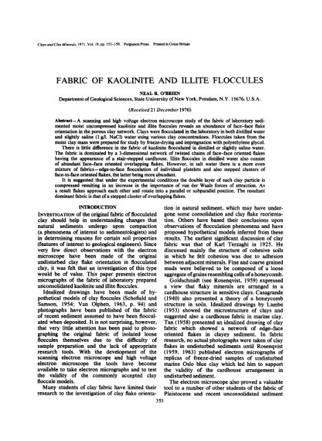 fabric of kaolinite and illite floccules - Clay Minerals Society