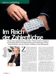 Im Reich der Zahlenfüchse - Controller Institut