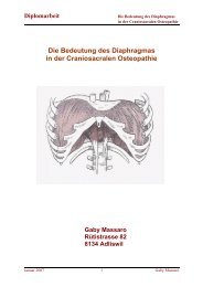 Die Bedeutung des Diaphragmas in der Craniosacralen Osteopathie