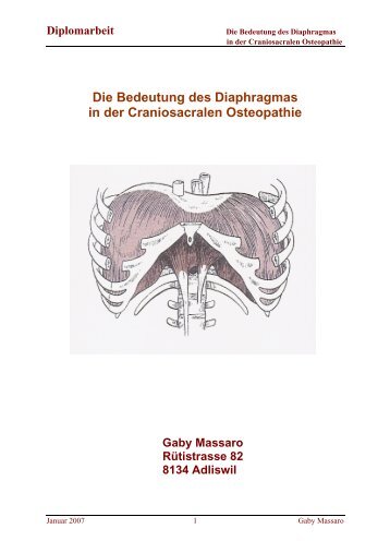 Die Bedeutung des Diaphragmas in der Craniosacralen Osteopathie