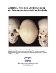 Anatomie, Histologie und Entwicklung der Suturen des ...