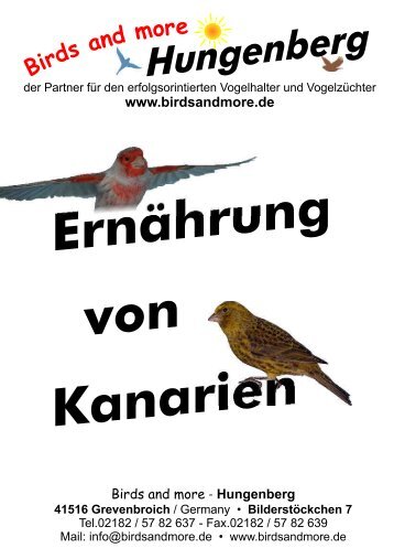 Ernährung Kanarien - Birds and more