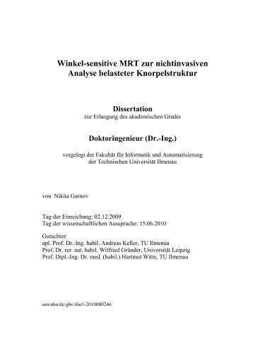 Winkel-sensitive MRT zur nichtinvasiven Analyse belasteter ...