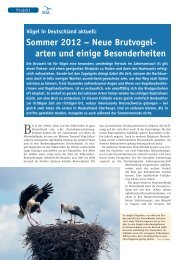 Sommer 2012 - Dachverband Deutscher Avifaunisten