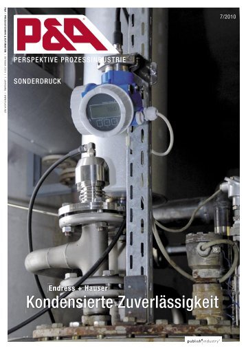 "Kondensierte Zuverlässigkeit" (PDF 391,0 kB) - Endress+Hauser