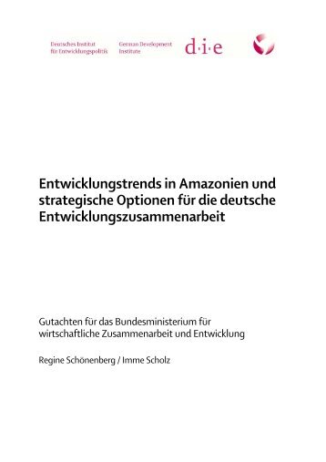 Amazonasstrategie Februar 2009.pdf - Deutsches Institut für ...