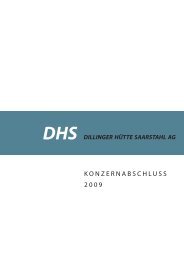DHS Konzernabschluss (2009) - Dillinger Hütte GTS