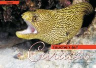 Curaçao - DiveInside