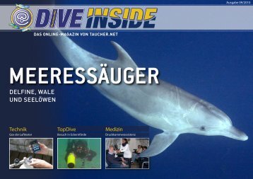 Web-Version (10.2 MB) - DiveInside