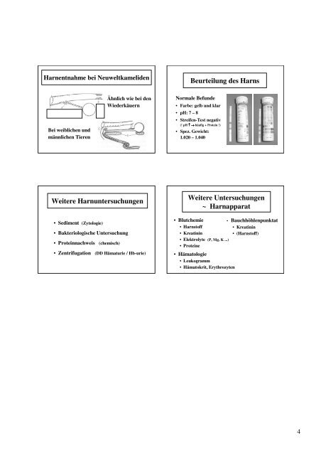 Propädeutik Harnapparat (pdf, 2.3 MB)