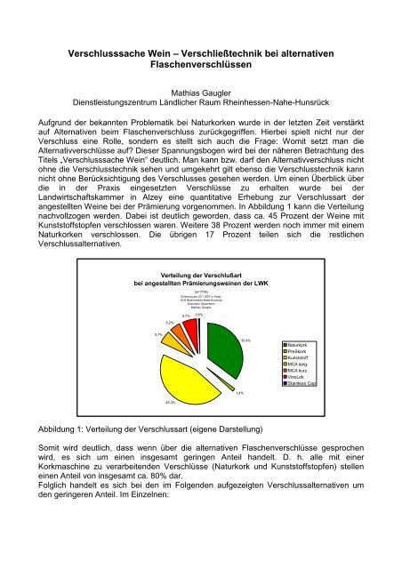 Mathias Gaugler.pdf - DLR