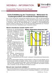 Frühe Entblätterung der Traubenzone.pdf - DLR Rheinhessen-Nahe ...
