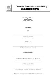 Praktikumsbericht (pdf) - Deutsche Botschaftsschule Peking