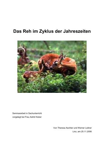 Das Reh im Zyklus der Jahreszeiten