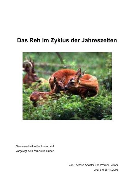 Das Reh im Zyklus der Jahreszeiten