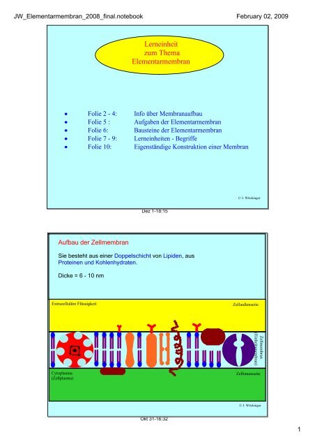 PDF-Datei zur Voransicht