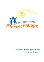 Konzeption Sternschnuppe 2010 - Gemeinde Eichenzell