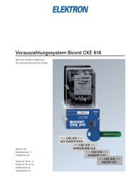 Prospektblatt CKE 818 - Elektron AG