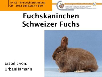 Praesentation Fuchs.pdf