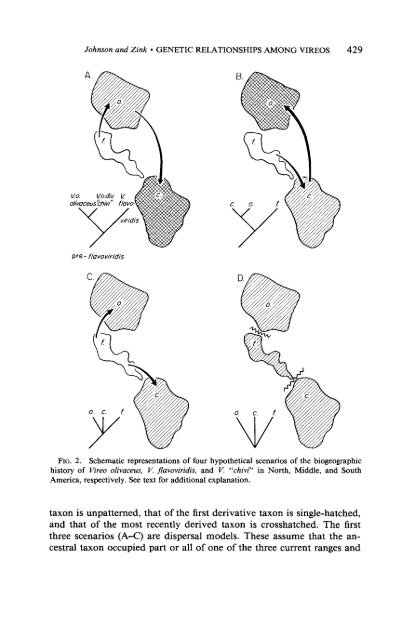 Download pdf 838KB - FAUNA Paraguay