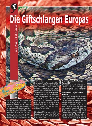 Die Giftschlangen Europas - VipersGarden