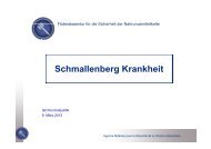 Schmallenberg Krankheit - Favv