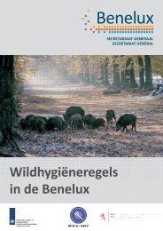 Wildhygiëneregels in de Benelux - Favv