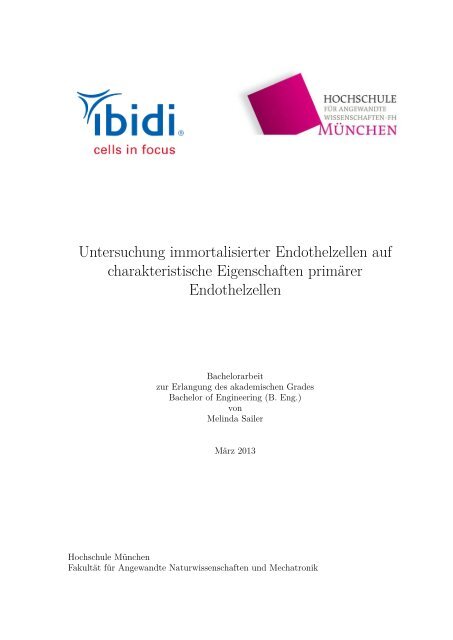 Untersuchung immortalisierter Endothelzellen auf charakteristische ...