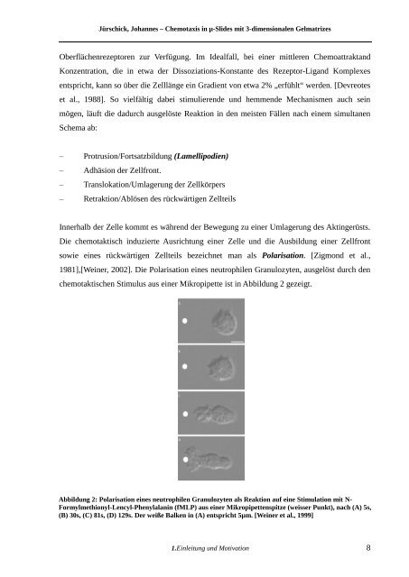 Download - Fakultät 06