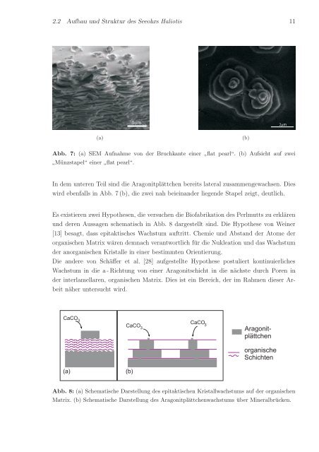 Elektronenmikroskopische Untersuchungen des Polymer/Mineral ...